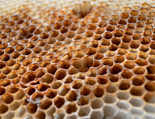 Cómo hacer velas con cera de abeja en 6 pasos