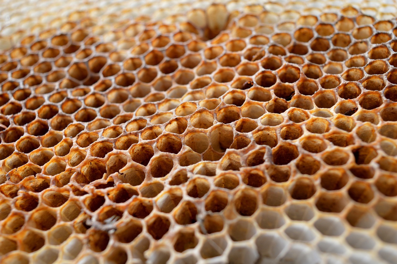 3 usos de la cera de abejas en tu hogar